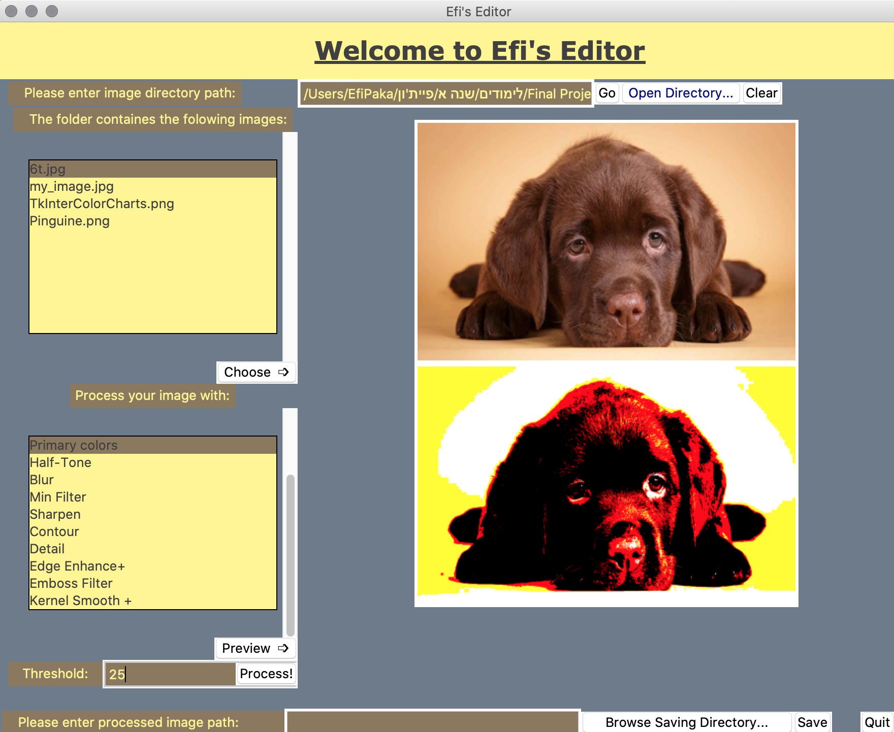 The original hand-written 2018 Tkinter editor