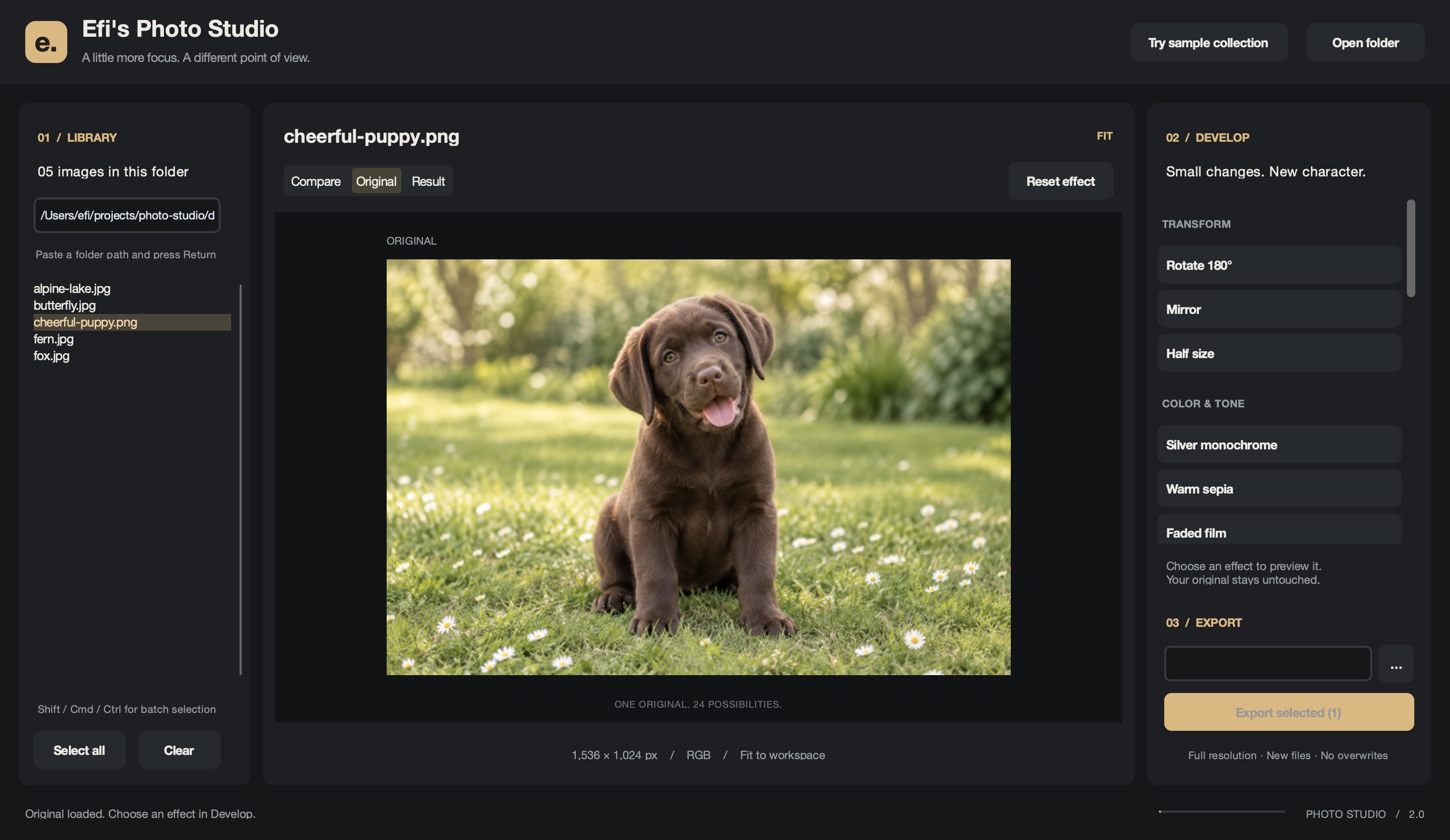 The new desktop photo editor with a dark library, large image preview, and grouped effect inspector